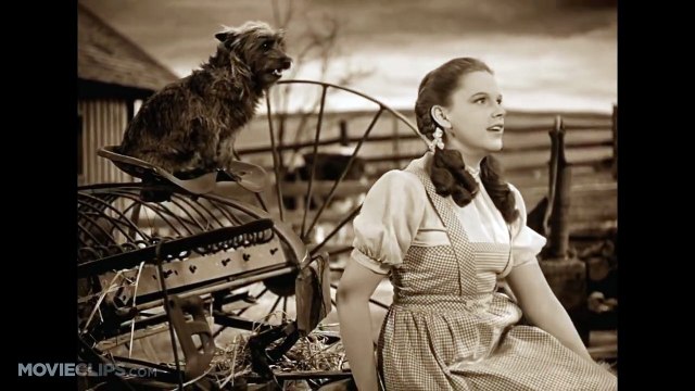 Somewhere Over the Rainbow - The Wizard of Oz (1/8) Movie CLIP (1939) HD