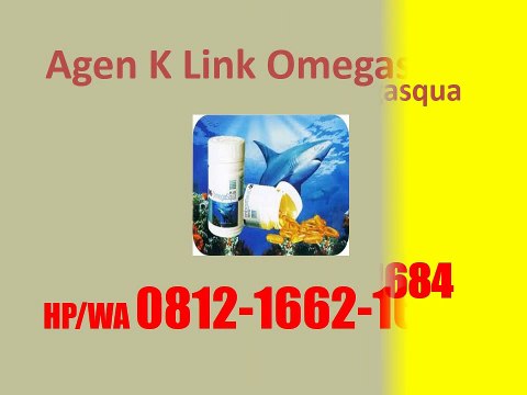 0812-1662-1684 (Tsel), Khasiat Omega Squa K-Link, K-Link Omegasqua Harga
