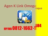 0812-1662-1684 (Tsel), Khasiat Omega Squa K-Link, K-Link Omegasqua Harga