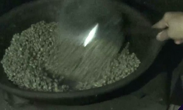 Kopi Luwak Ala Cianjur