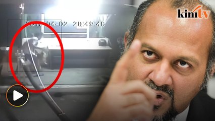 MP: Dog abuser must face the law