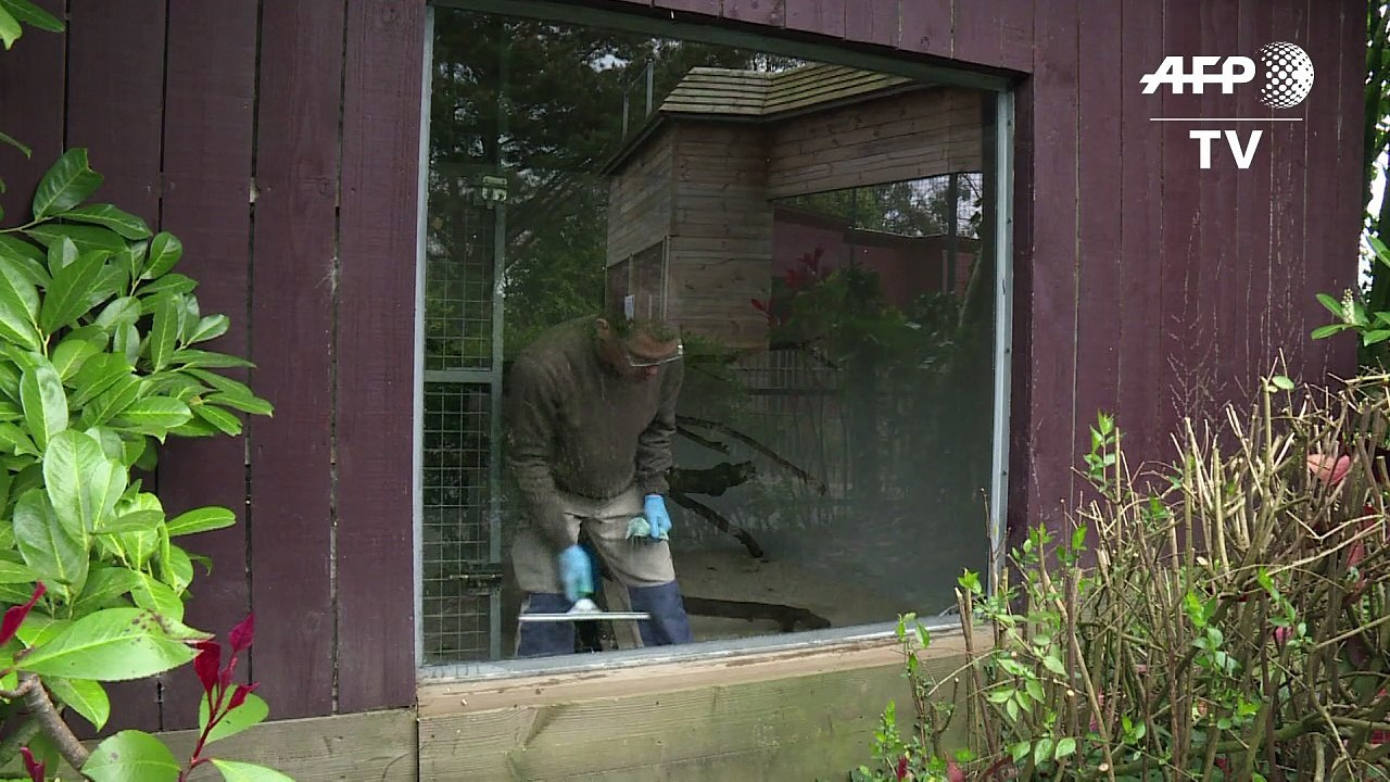 Autisten schmeißen französischen zoo