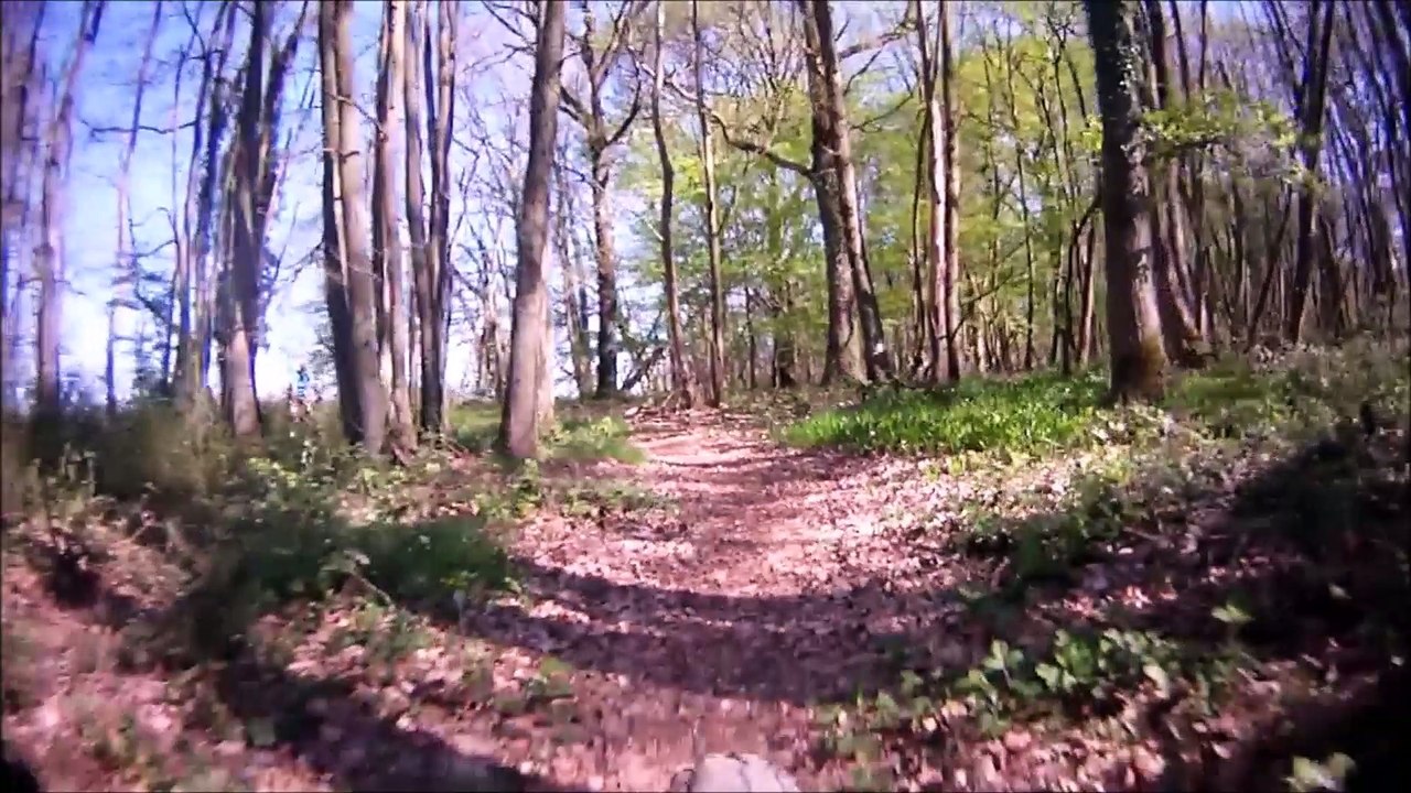 VTT St Arnoult Dourdan 9/04/2017