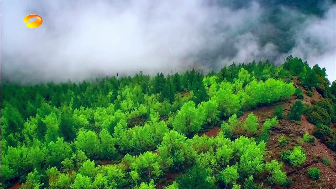 青丘狐传说 第6集（古力娜扎、蒋劲夫、小彩旗）青丘狐传说 06 http://BestDramaTv.Net