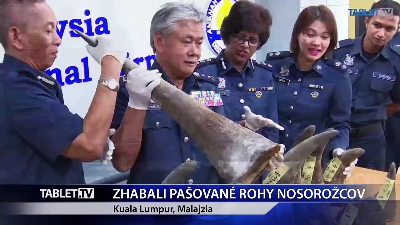 Malajzia zhabala 18 rohov nosorožcov z Mozambiku