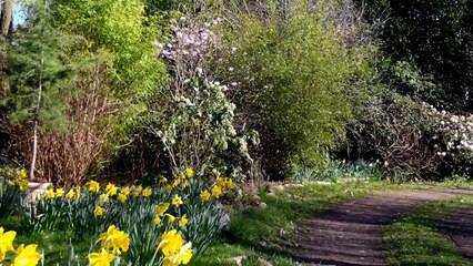 Birmingham Weekend News - 8th April