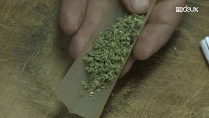 Falò : CannaBis ! (Avril 2017) (RTS) (FR)