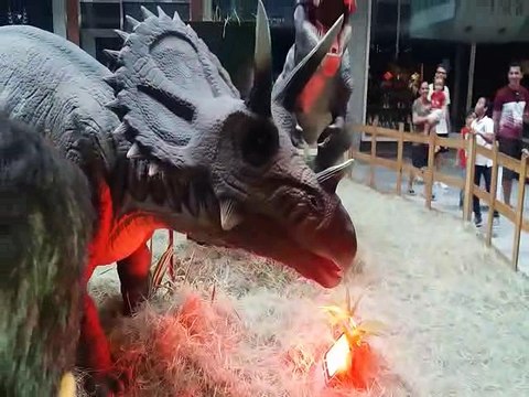 EXPOSIÇÃO DE DINOSSAUROS NO SHOPPING EM CAMPINA GRANDE - PB