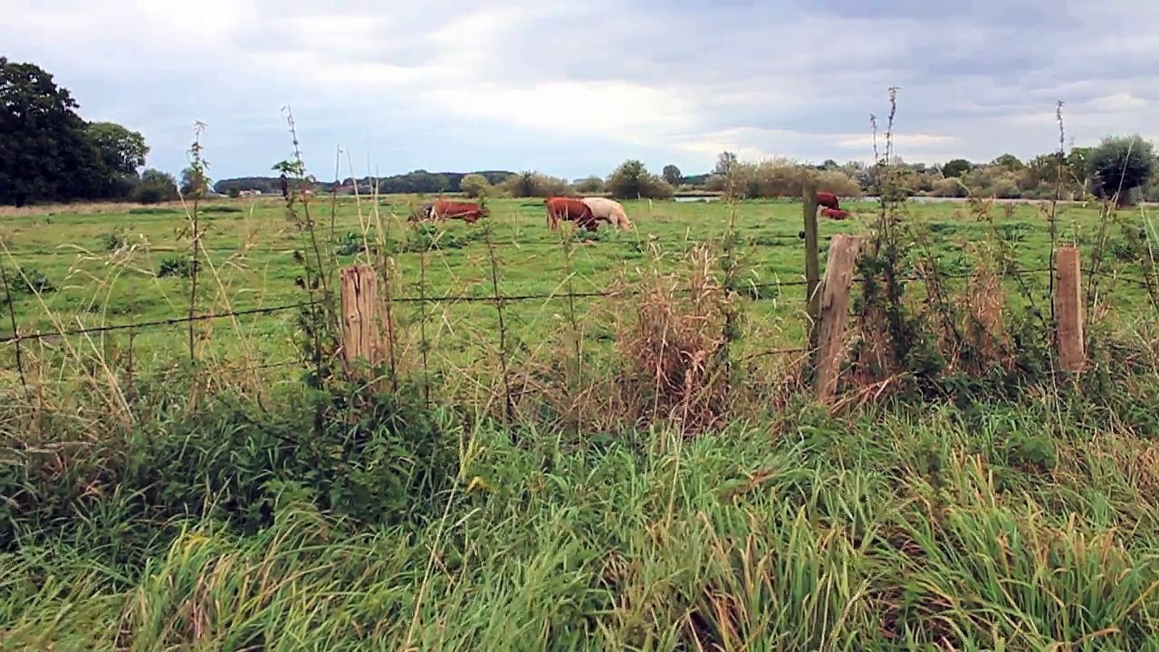 Timelapse : Zeitraffer - Haseldorf Hafen 2014 /Full Film/Complete Movie/Ganzer Film