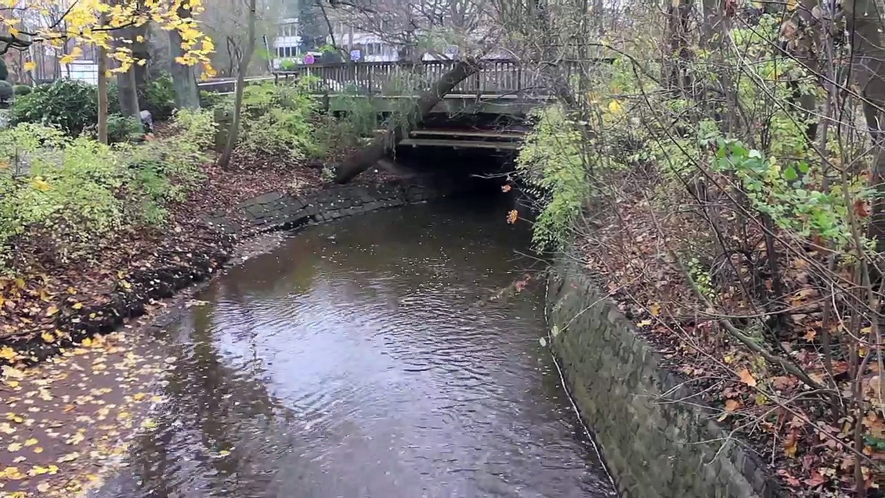 Timelapse : Zeitraffer - Pinneberg Quellental und Thesdorf 2013 /Full Film/Complete Movie/Ganzer Film