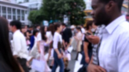 JVZoo Academy Review