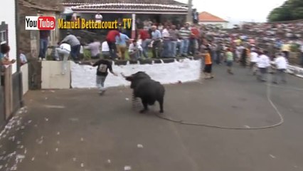 Best Funny Videos - Touradas Engraçadas - Rir com Marradas - Funny video - by Manuel Bettencourt TV