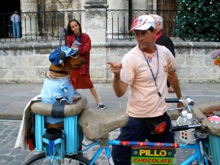 Cuban Private Travel Agency