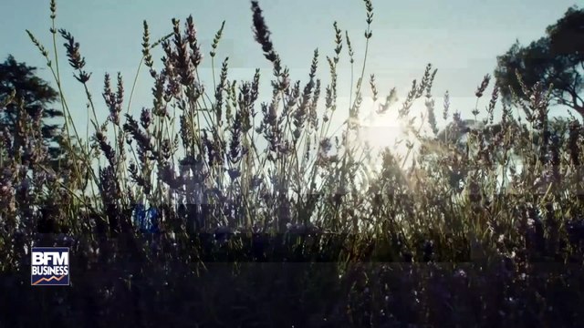 Angelina Jolie, égérie du nouveau parfum Mon Guerlain