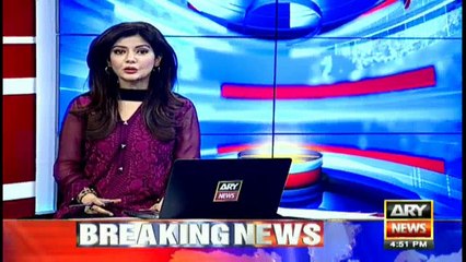 Mexico City’s First Ice Cream Parlor For Dogs Is Open For Business