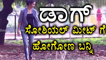 Dog social meet at cubbon park | Very Emotional Heart touching video ever | Viral Video