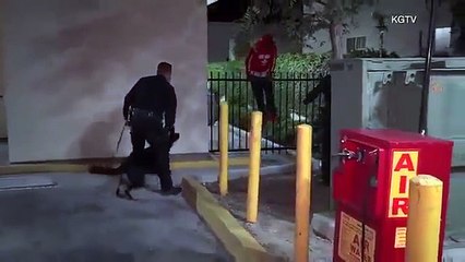 Cet homme se retrouve bloqué sur une barrière lors de son arrestation...