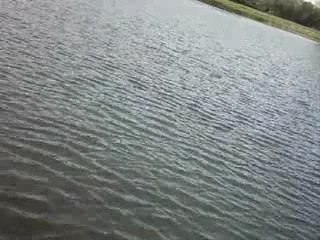 Catch&release
