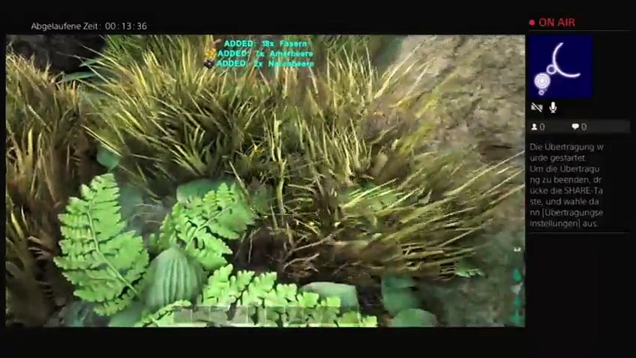 Ark 2# endlich!!!!! (7)