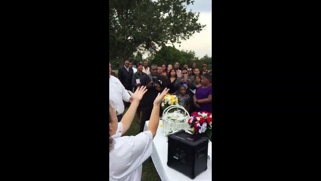 Lors d'un enterrement le « lâcher de colombes » fini très mal...