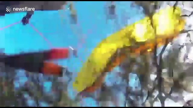 Powered paraglider crashes into trees