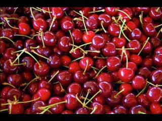 Ciliegie mortali, gas in sala operatoria e...tanto altro ancora a Mezzogiorno di Focus