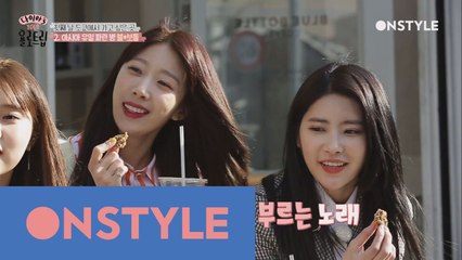 봄 차트 진입 고고! 다이아가 부릅니다 ‘꽃, 바람, 그리고 너’