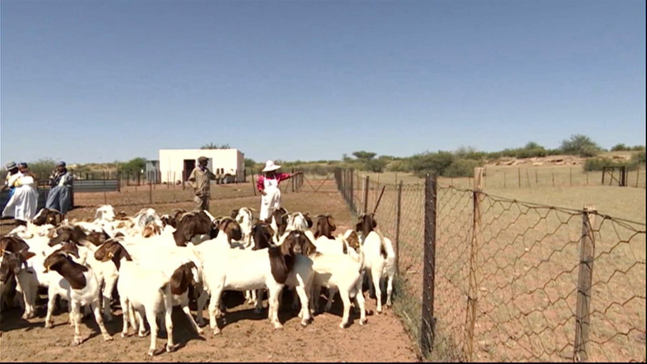 Namibia under pressure to seize land for redistribution