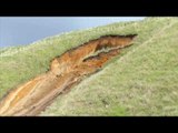 Spectacular Landslide at Papamoa Hills Regional Park in New Zealand