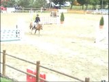 Mon poney quand il était plus petit