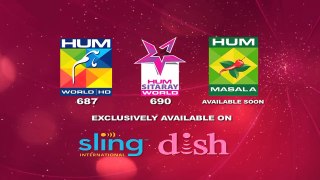 Jithani Episode 46 Full HD HUM TV Drama 10 April 2017