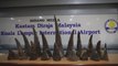Malasia se incauta de 18 cuernos de rinoceronte procedentes de Mozambique