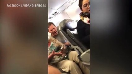Video shows a passenger forcibly dragged off a United Airlines plane