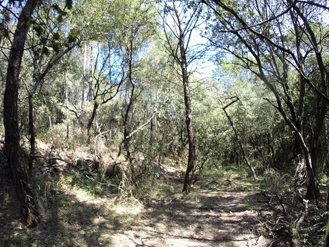 Sur les traces de la Rando du LEZ 4