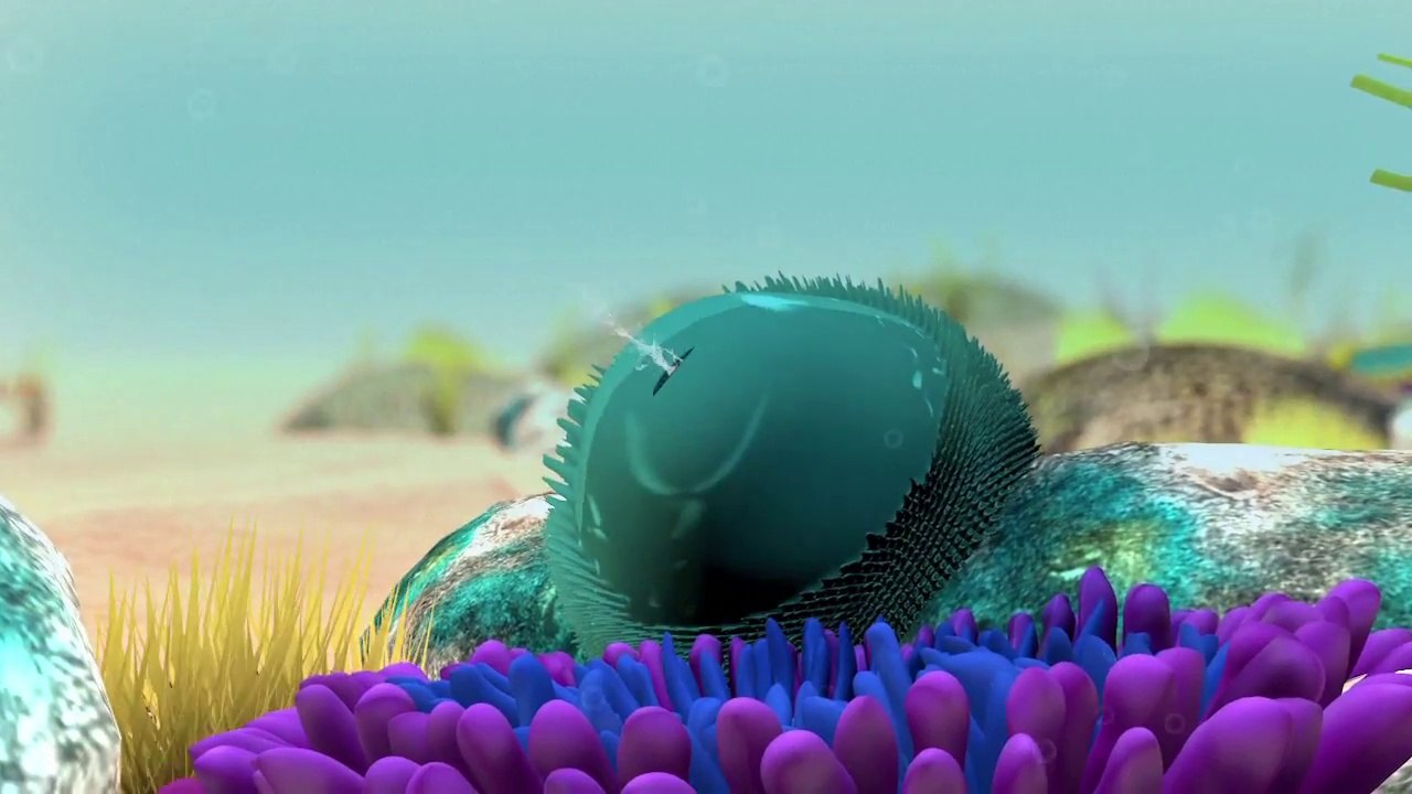 2nd Year Of Mass Coral Bleaching | Great Barrier Reef May Not Recover