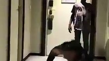 Dance