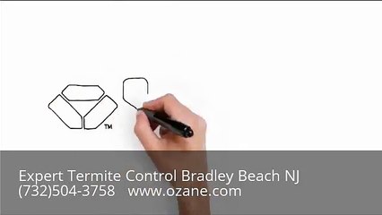Expert Termite Control Bradley Beach NJ (732)504-3758