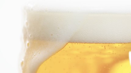 Everything You Need To Know About Beer