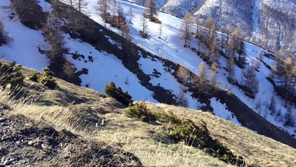 Toujours en montant vers la Bergerie du Clôt du Loup