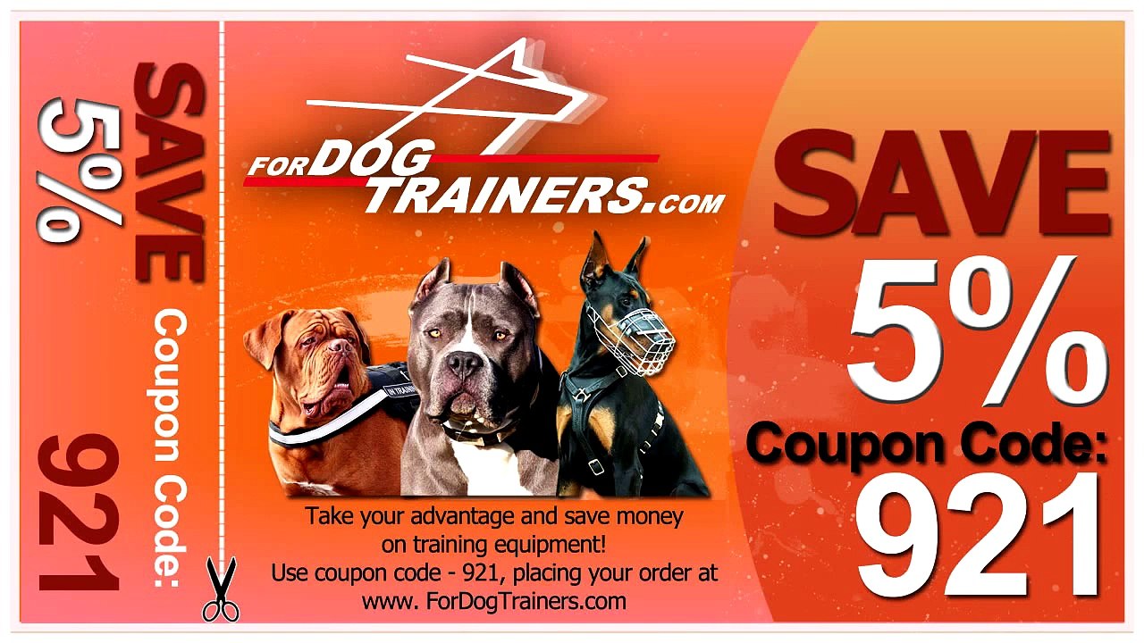 Kids Funny Video ★ Funny Videos Of Kids ★ Funny Videos For Kids ★ Funny Dog And Baby Videos