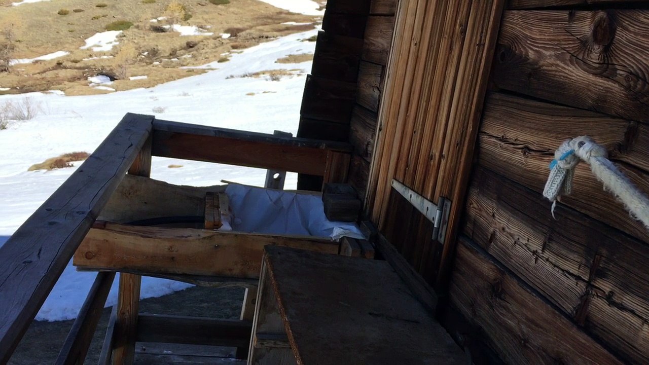De la Bergerie du Clôt du loup !