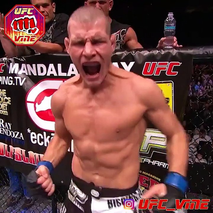Dan Hendo vs. Michael Bisping