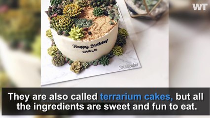These CAKES Look Like SUCCULENT PLANTS