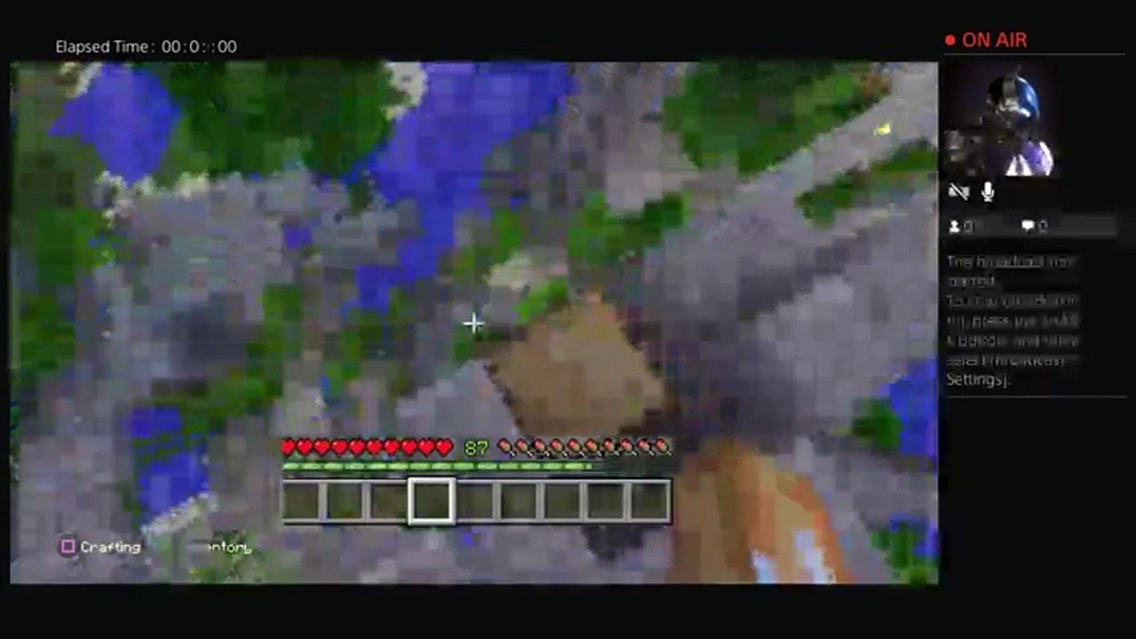 Minecraft 1x1 (6)