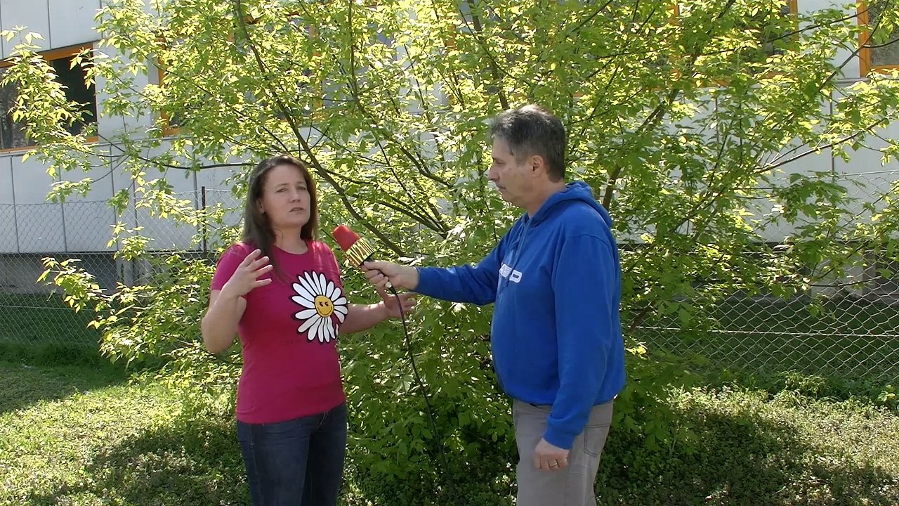 Stumme Schreie Hilferufe eines Kindes