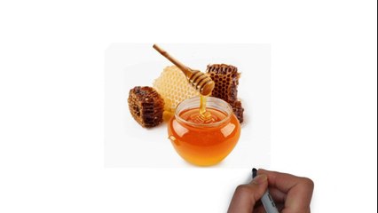 0816574300 Jual Madu Asli Pontianak