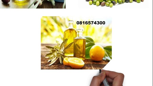 081-657-4300 (Indosat) Jual Minyak Zaitun Pandeglang