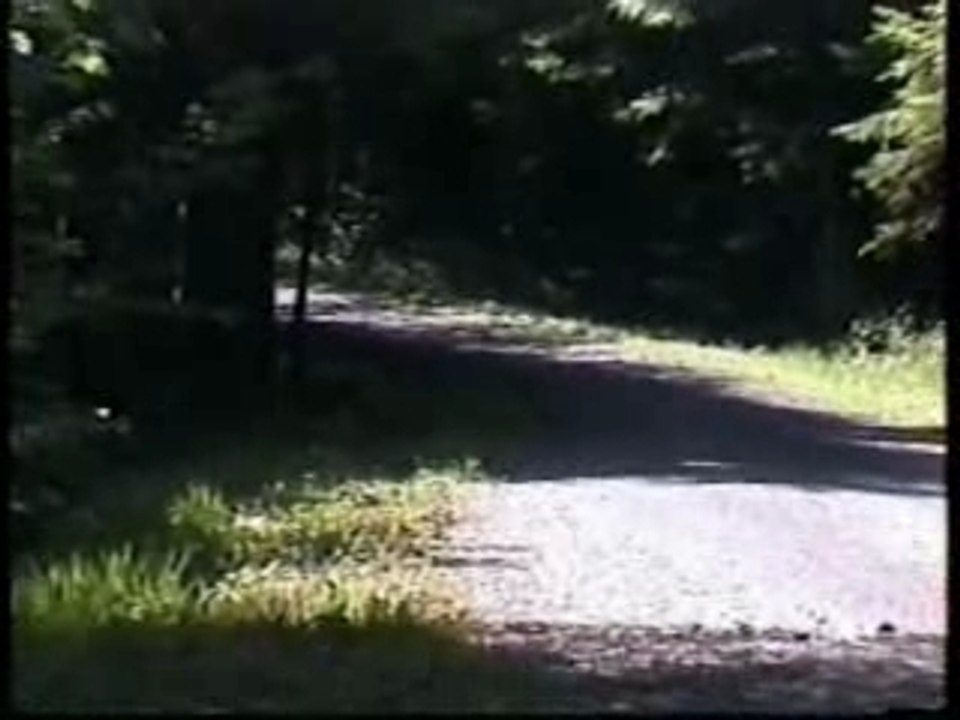 BMW 318 Compact F2000