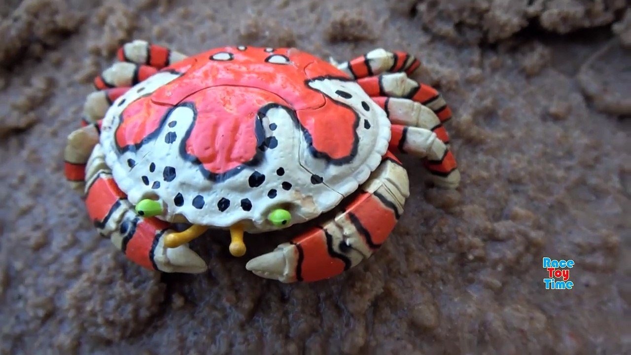 Sea Animals Island Sandbox - Learn Wild Animal Names For Kids!-nZfA-