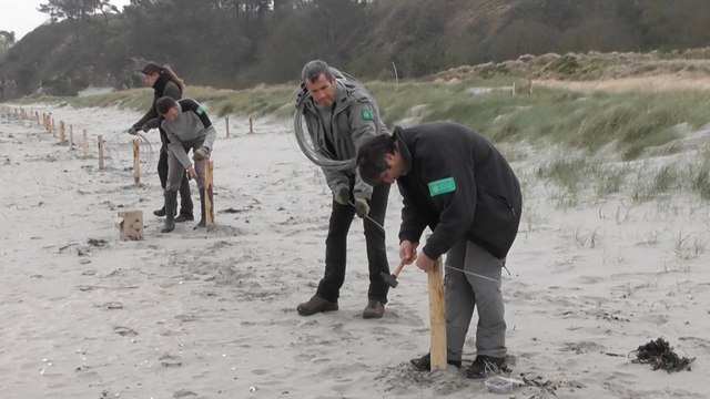 Travaux de Protection de Bon-Abri Réserve Naturelle Baie Saint. Brieuc